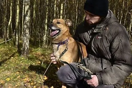 Nasz Reksio nie jest taki szczęśliwy jak ten bajko