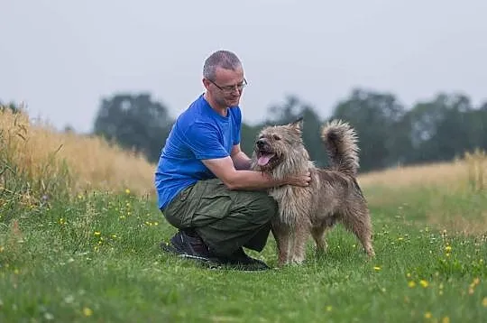 Młody, radosny Kostek, kochający człowieka, wyjątk