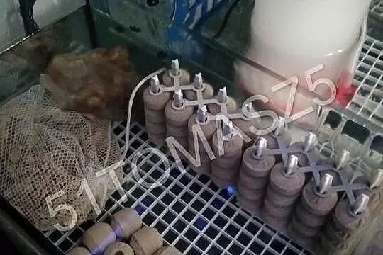 Stojak 2x2 na 16 kul Maxspect, Śląskie, Rybnik
