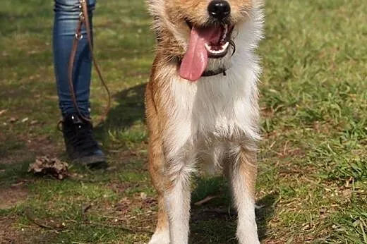 DIEGO :) - młody, zabawny, chętny szaleństw.. szuk