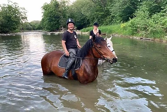 Heidi - typ pogrubiany, , Rzepedź