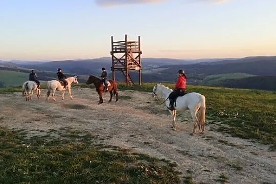 Heidi - typ pogrubiany, , Rzepedź