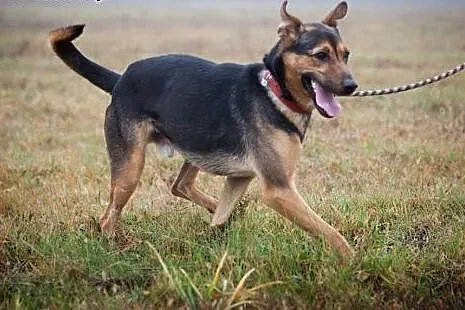 Ludzie nawet na mnie nie patrzą, bo nie jestem jor