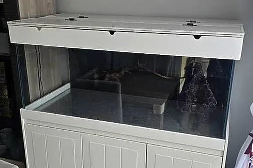 Akwarium optiset white120x50x60 360l + szafka + filtry, grzalka, oświetleni, Śląskie, Sosnowiec