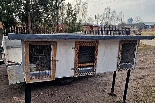 Klatka na króliki zające, Mazowieckie, Dzierzby Szlacheckie