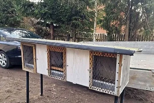 Klatka na króliki zające, Mazowieckie, Dzierzby Szlacheckie