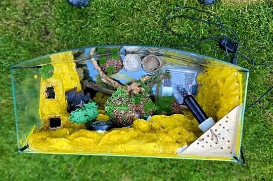 Terarium dla gekona, Łódzkie, Łódź