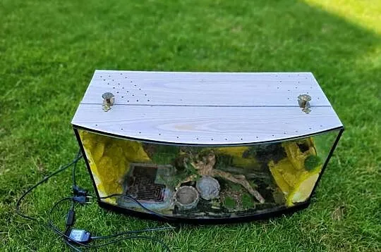 Terarium dla gekona, Łódzkie, Łódź