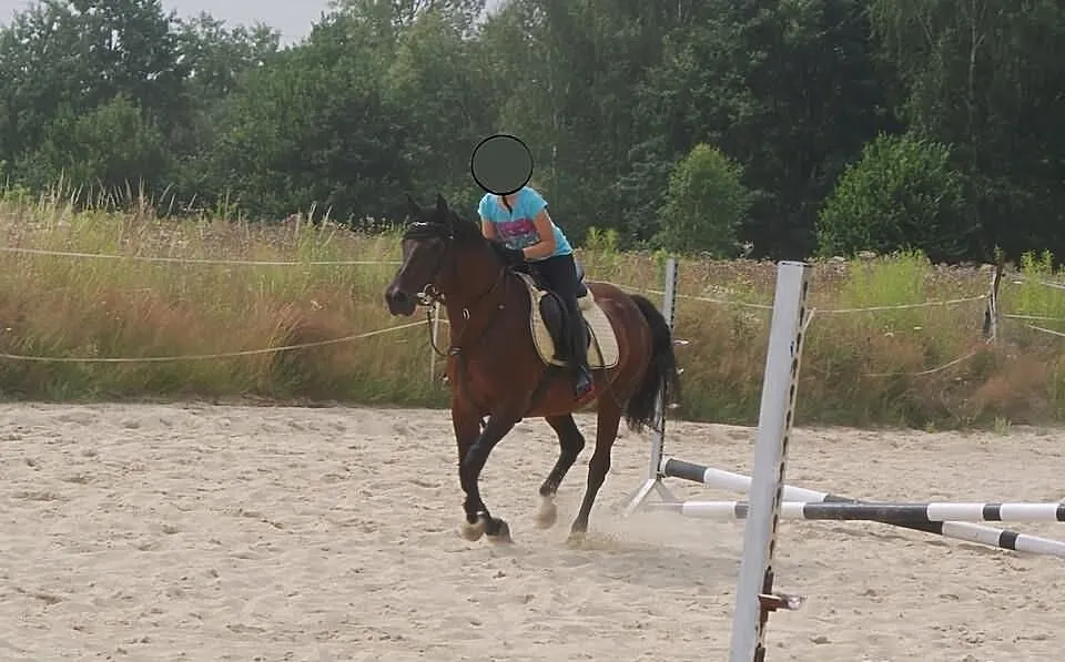 Klacz pony