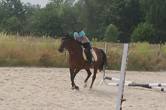 Klacz pony