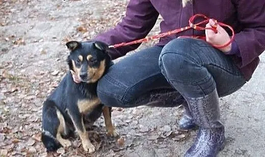 Kocham ludzi, dzieci i świat zabierz mnie ze schro