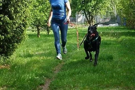 SZANSA DLA AZJI,  Kundelki cała Polska, 