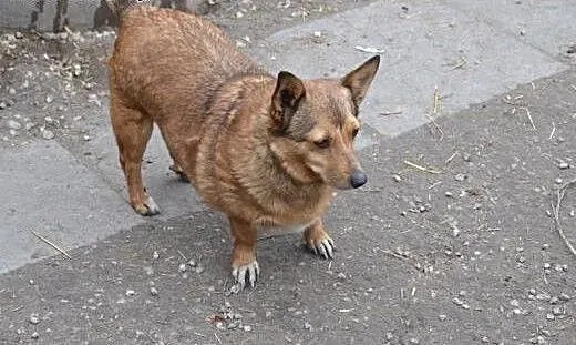 Kilkukilogramowa Basia - zmieści się nawet w najmn