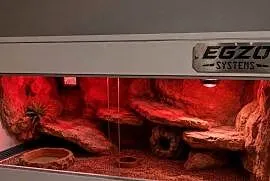 Terrarium dla żółwia greckiego gekona lamparciego agamy brodatej
