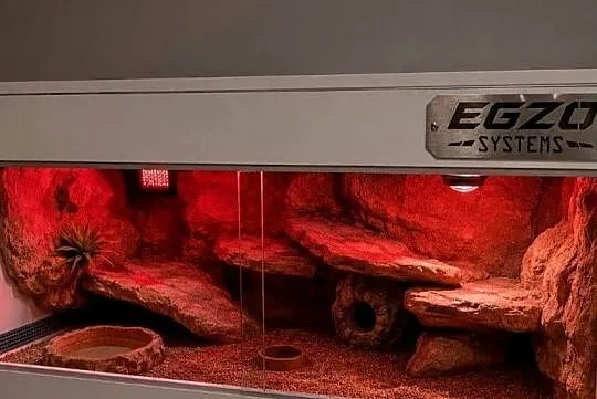 Terrarium dla żółwia greckiego gekona lamparciego agamy brodatej