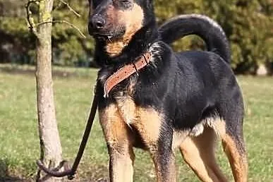 Turbo.Czy mnie nie ma?