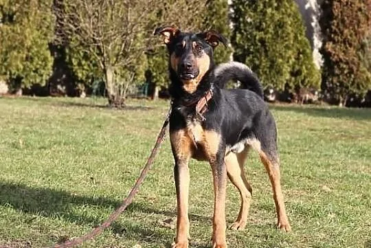 Turbo.Czy mnie nie ma?