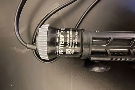 Grzałka PROTEMP S 100 W JBL, Świętokrzyskie, Ostrowiec Świętokrzyski