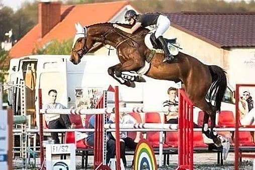Sergio L, , Wielgie