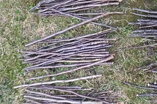 Ekologiczne patyki dla gryzoni, jabłoń, śliwa, wierzba,  wiśnia; 500 g, Warmińsko-mazurskie, Morąg