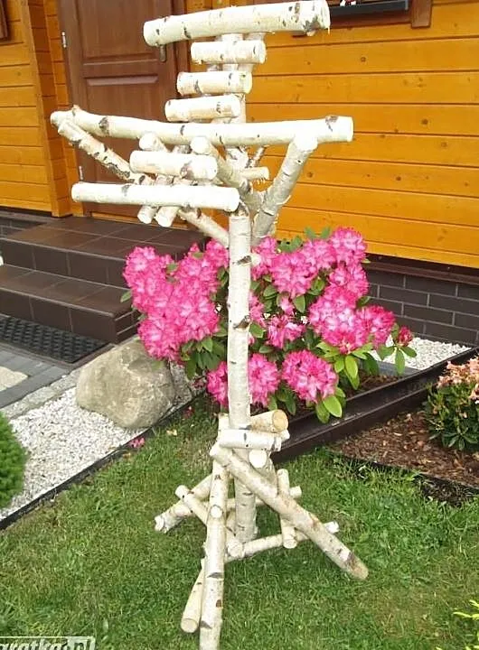 Drewniany stojak dla papug z brzozy, Śląskie, Ruda Śląska