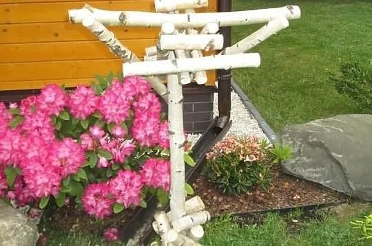 Drewniany stojak dla papug z brzozy, Śląskie, Ruda Śląska