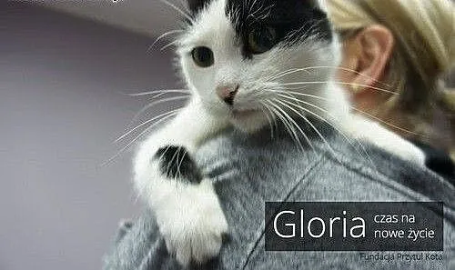 Gloria - czas na nowe życie, łódzkie Łódź