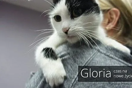 Gloria - czas na nowe życie,  łódzkie Łódź