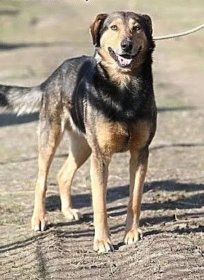 PRAWDZIWA PRZYJAŹŃ JEST ZA DARMO!!!, mazowieckie