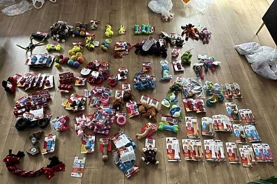 Akcesoria dla psów różne rozmiary kolory