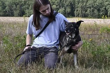 Sonia odratowana od pijaków, czeka na dobry dom,  