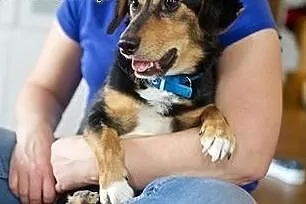 Komu, komu? malutki, fajny KUMINEK chce do domu,  