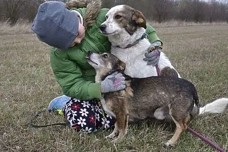 Dwa niezwykle przywiązane do siebie psiaki: Iskra 