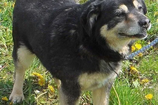 MISIO- uroczy, uśmiechnięty pyszczek; mięciutka si