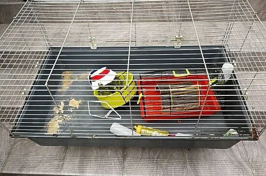 Klatka przeznaczona dla królika swinki morskiej cavia gryzoni kojec XL