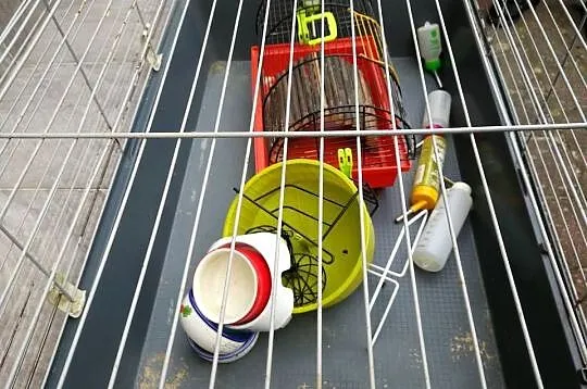Klatka przeznaczona dla królika swinki morskiej cavia gryzoni kojec XL, Zachodniopomorskie, Szczecin
