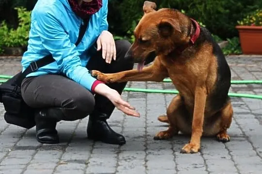 Nimfa- tylko mnie pokochaj!