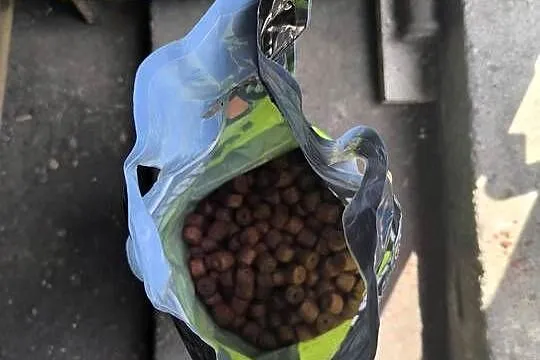 Pellet wędkarski karpiowy Tandem Baits 15 mm 3, 1 kg, Podlaskie, Gródek