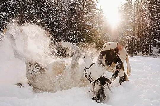 Stanówka ogierem Czystej Krwi Arabskiej, Małopolskie, Zakopane
