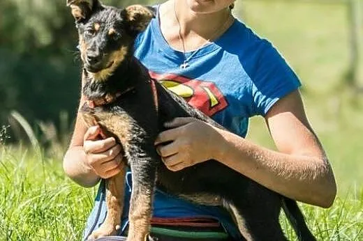 Wszędobylska Ważka :),  warmińsko-mazurskie Olszty