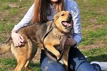 Młodziutka Sara, szukamy dla niej kochającego opie