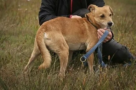 Jeśli adoptujesz Ero... okażesz się człowiekiem o 