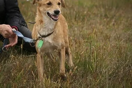 Jeśli adoptujesz Ero... okażesz się człowiekiem o 