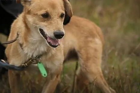 Jeśli adoptujesz Ero... okażesz się człowiekiem o 