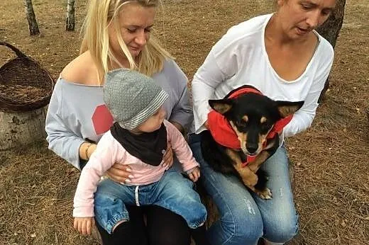 Porzucona frytka szuka domu aktualne ,  Kundelki c