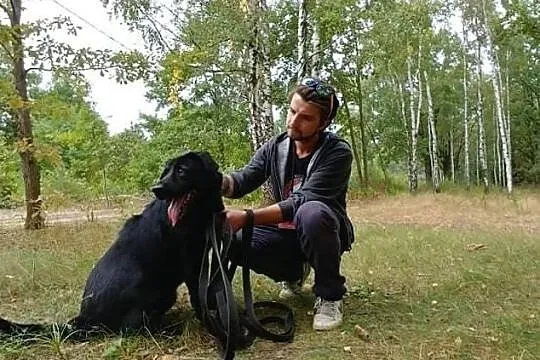 BLACKY młody wesoły energiczny piesek marzy o kochającym domu, , Wrocław