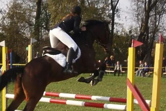Klacz Sardenia xx