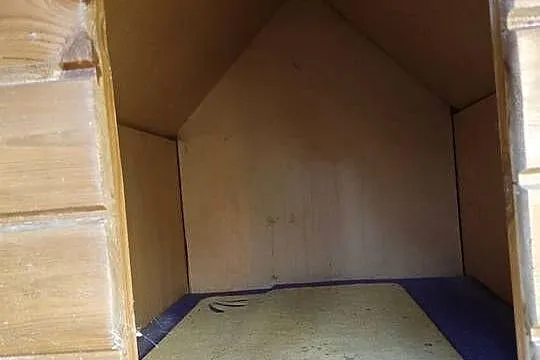 Buda dla psa duża, Zachodniopomorskie, Kamień Pomorski