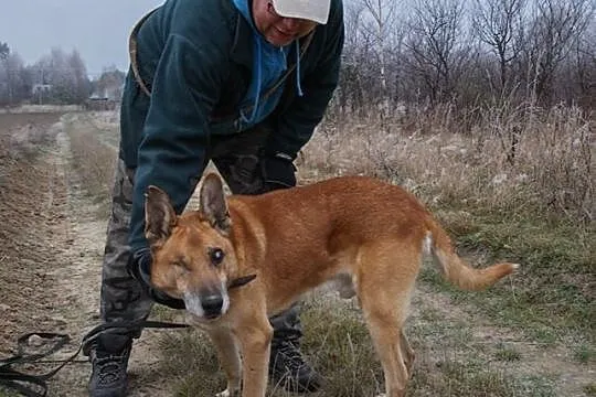 Jurand - wyjątkowa przylepa szuka domu! Czy ma na 