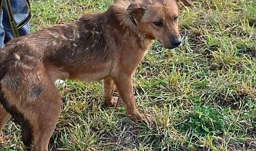 Miodunka potrzebuje cierpliwego wyrozumiałego i ko